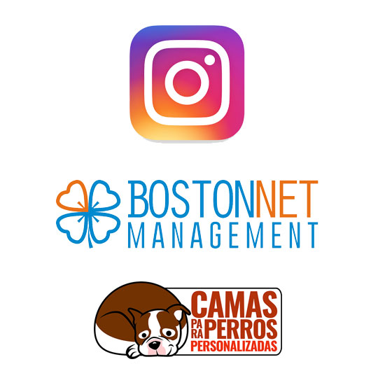 Instagram Boston Net